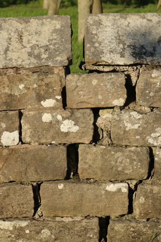Stone Wall Repair in Humboldt, TN